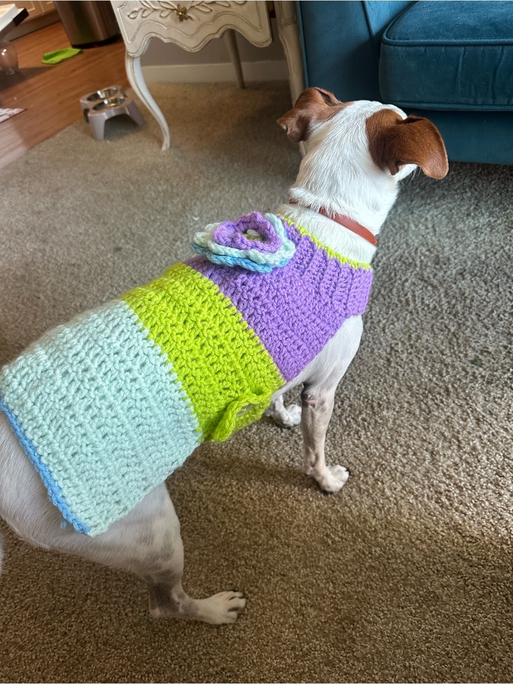 Handmade Pastel Crochet Dog Sweater - Purple, Lime & Mint